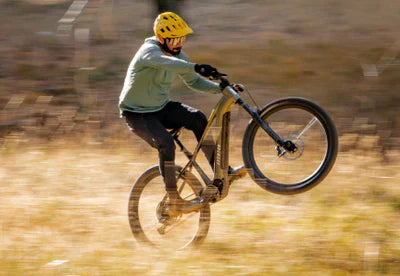 Mountain & All-Terrain eBikes
