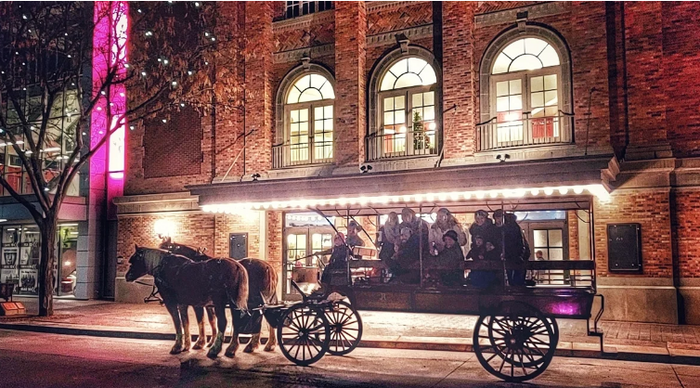 Horse-Drawn Christmas Light Tours