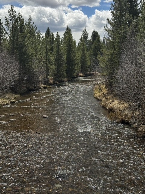 Rocky Mountain National Park: Ebike – The eBike Shop of Colorado