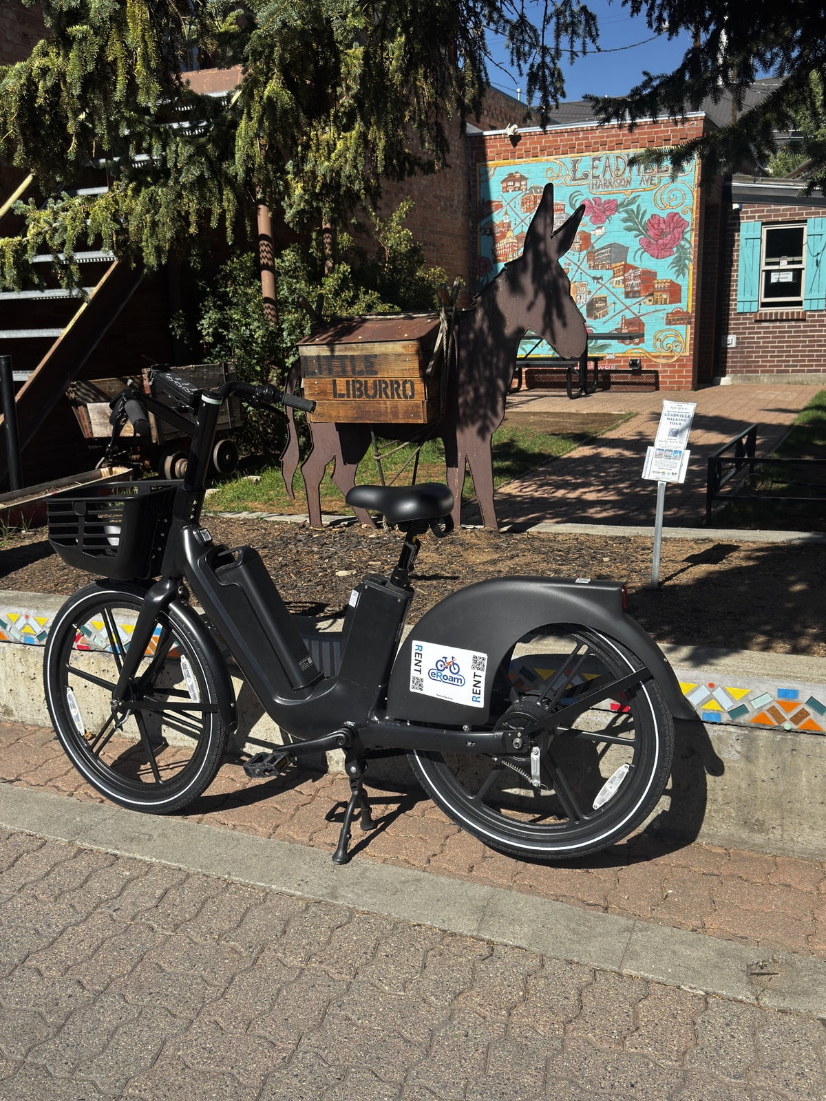 eRoam Leadville