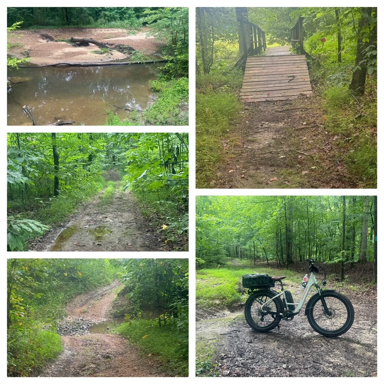 A series of photos showing the trail and bike path.