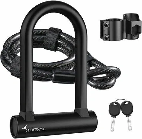 A black bike lock with two keys and a cable.