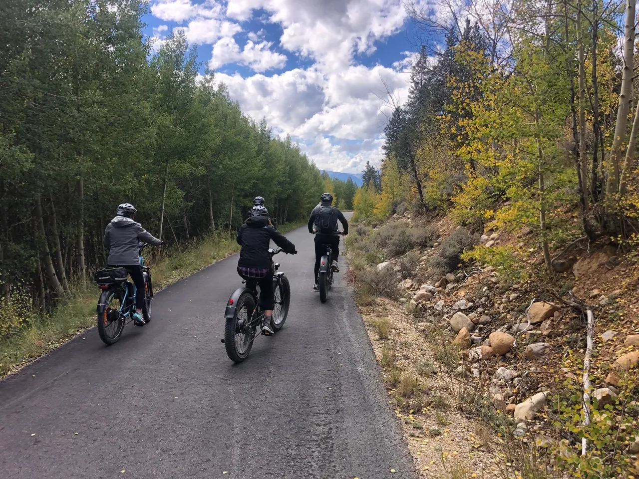 Three people riding bikes down a road near trees.