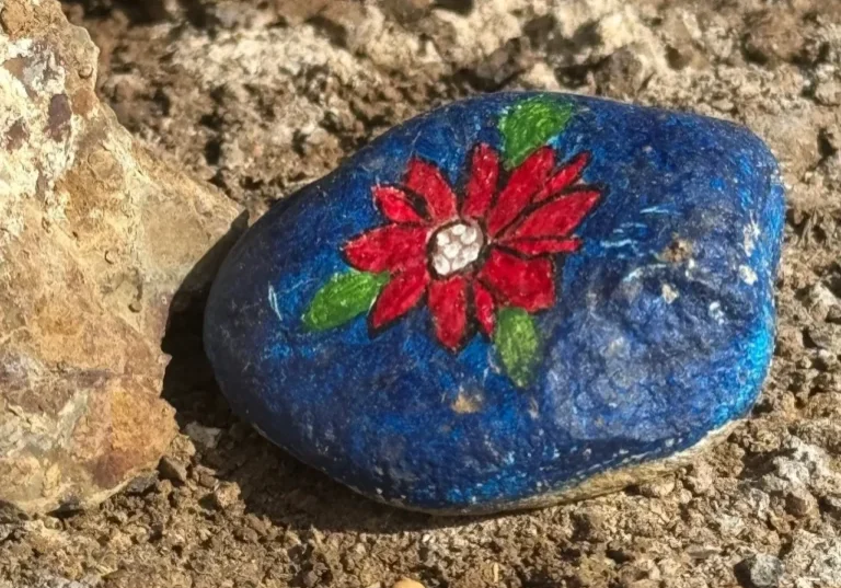 A rock with a painted flower on it.