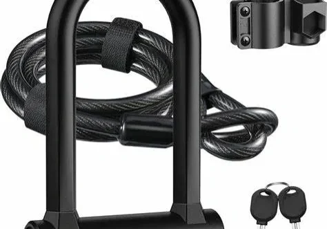 A black bike lock with two keys and a cable.