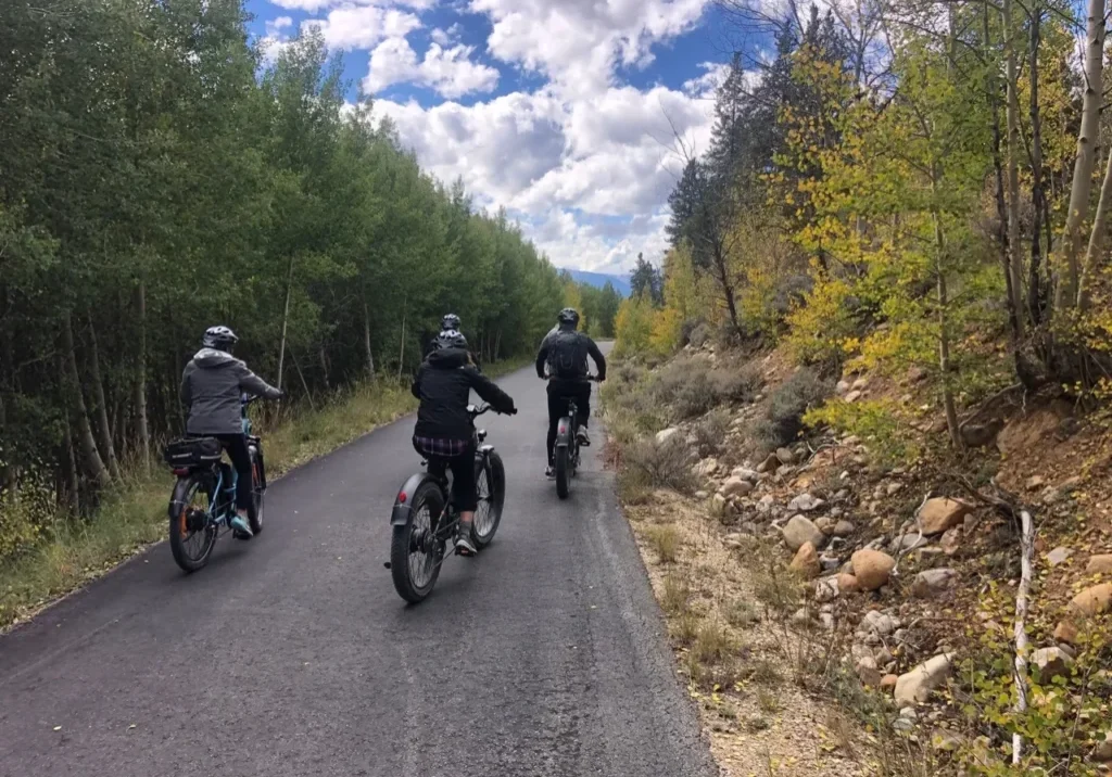 Three people riding bikes down a road near trees.